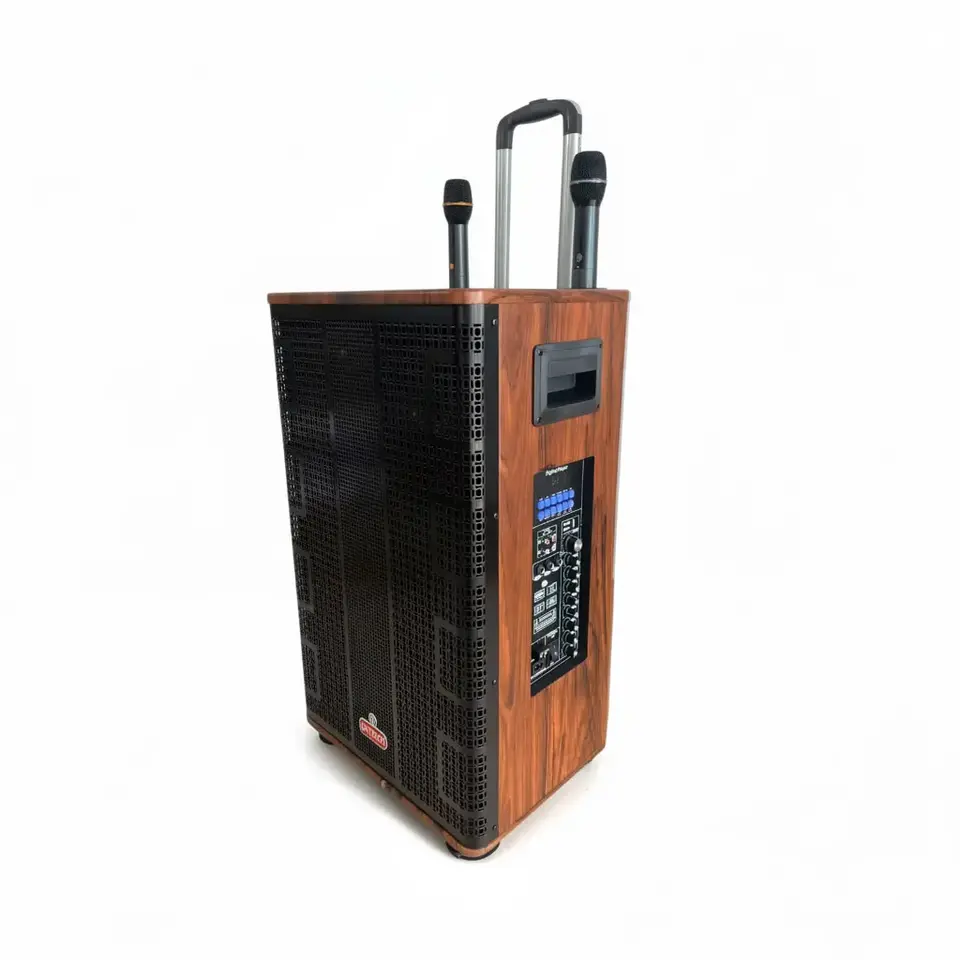 Máy chiếu trình chiếu chuyên nghiệp