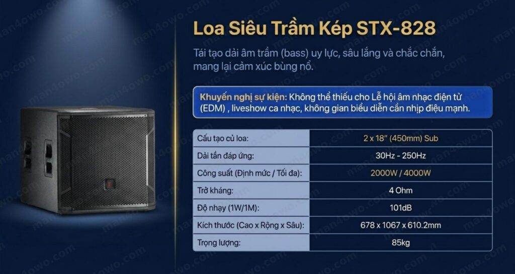 Thuê Loa Toàn Dải Cao Cấp C-15A Cho Hội Nghị, Sân Khấu Tại Hà Nội Loa toàn dải cao cấp C-15A cho thuê hội nghị và sân khấu