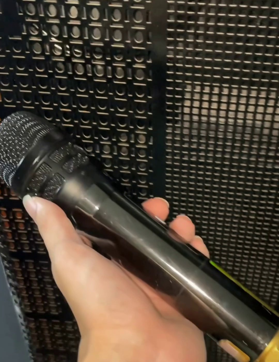 Hướng Dẫn Hát Karaoke Bằng Loa Kéo: Cắm Micro, Chỉnh Echo, Chống Hú Tay cầm micro không dây đi kèm loa kéo bass 40 cm trước lưới loa